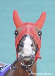 87782 B