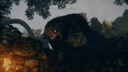 462851 B