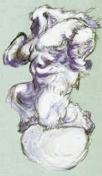 52062 B
