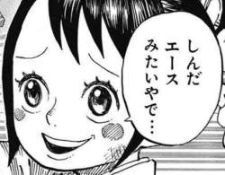 33779 B