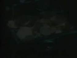 2144432 B