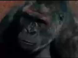 2406064 B