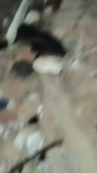 8117596 B