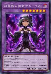 2541598 B