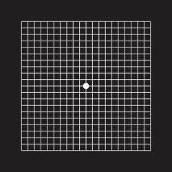 9097 B