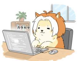 120494 B
