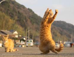 142745 B