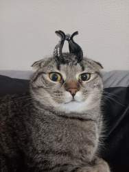 424993 B