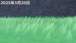 2220562 B