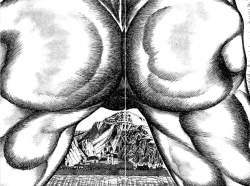 383185 B