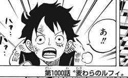 146778 B
