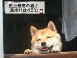 33382 B