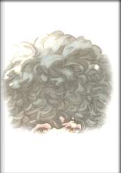 107362 B