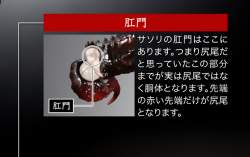 1285551 B