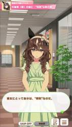 41279 B