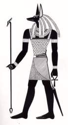 14424 B