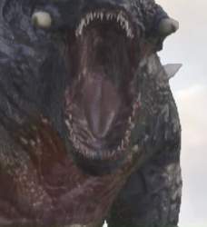 29288 B