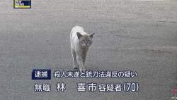 67777 B