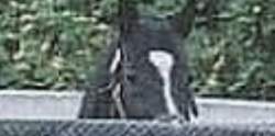 186101 B