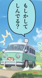 79066 B