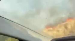 1287979 B
