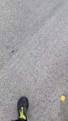 1357731 B