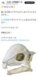 989477 B