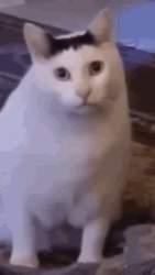606383 B