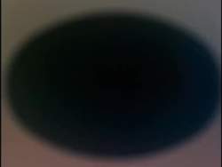 8159996 B