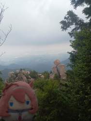 3753942 B