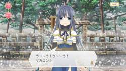 186304 B