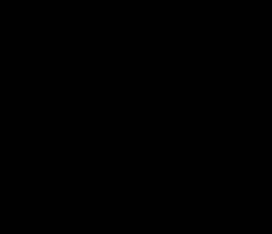 325081 B