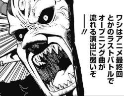52075 B