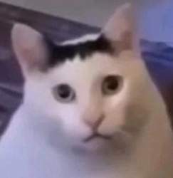 52356 B