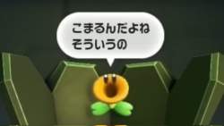 47898 B