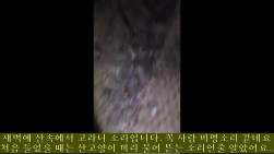 1382459 B