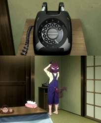 49554 B