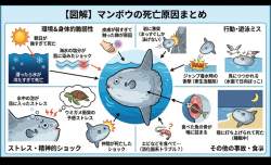811656 B