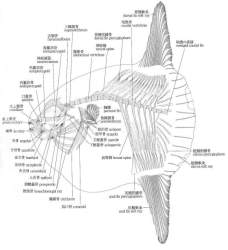 144068 B
