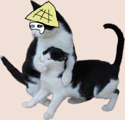 228985 B