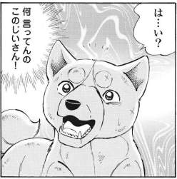 128566 B