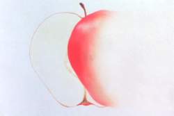 8088898 B