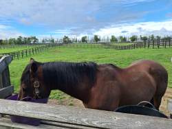 4528727 B