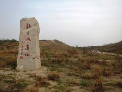 155369 B
