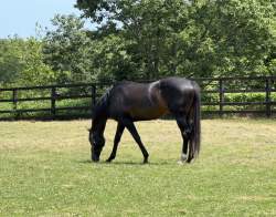 2006565 B