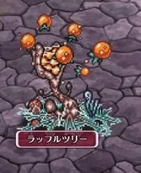 22888 B