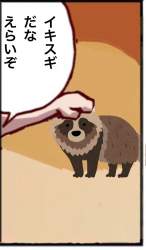 205494 B