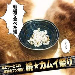 40208 B