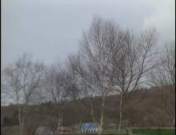 5945485 B