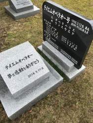 1054935 B